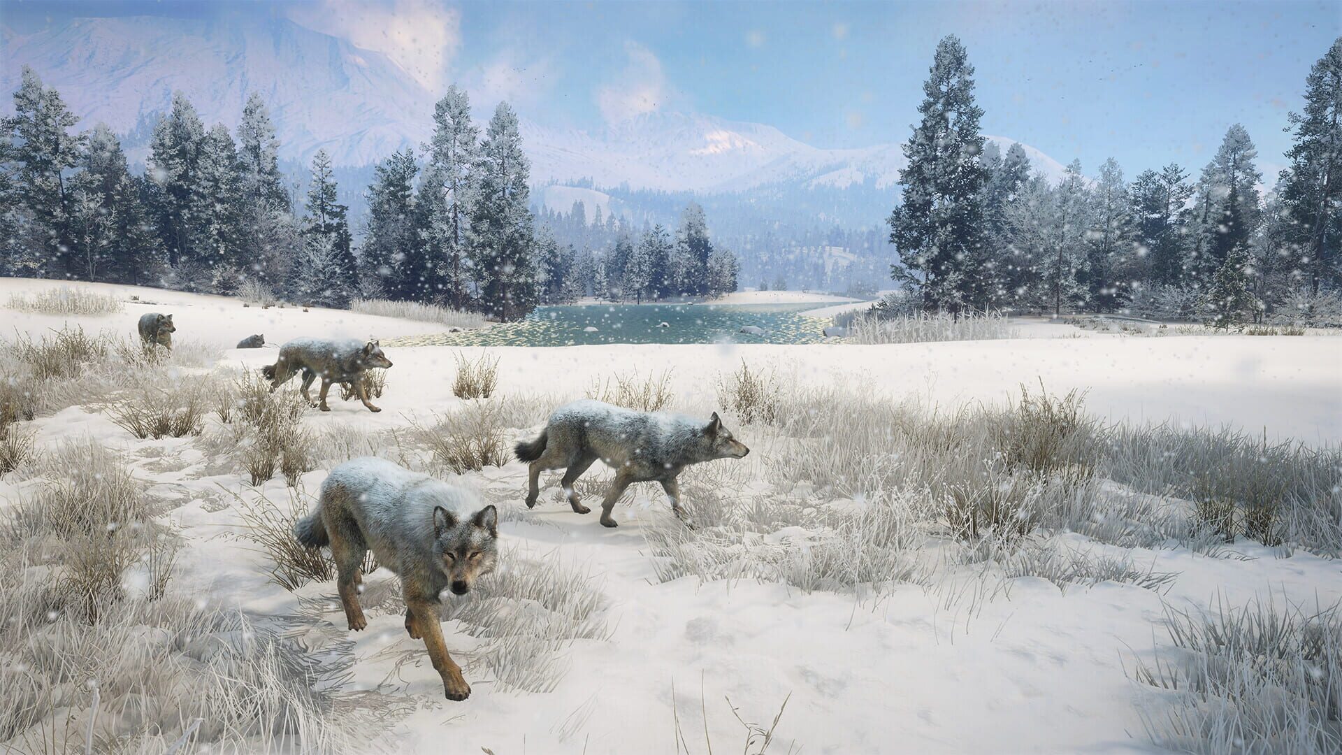 TheHunter: Call of the Wild - Alberta Hunting Preserve screenshot 5