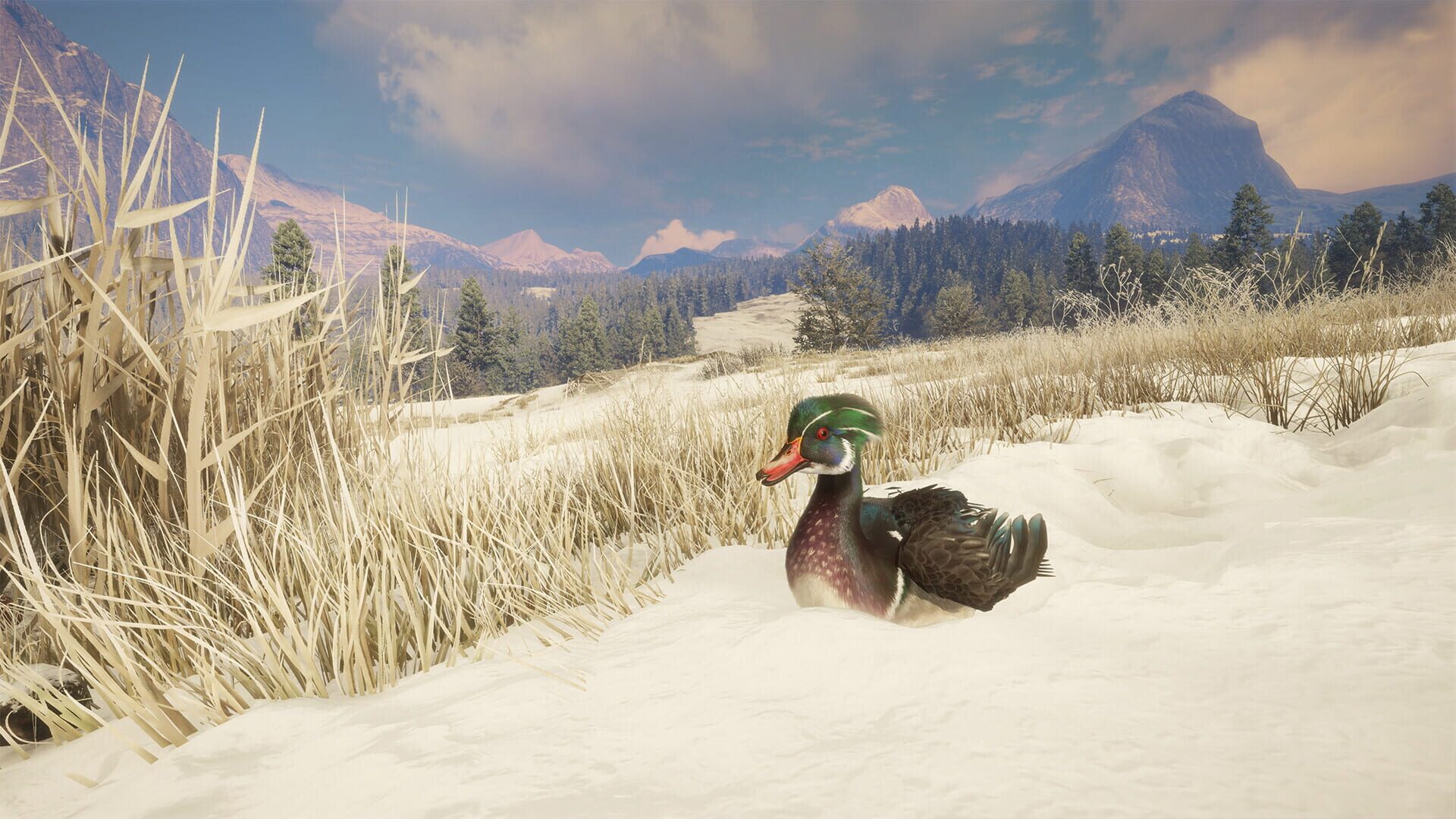 TheHunter: Call of the Wild - Alberta Hunting Preserve screenshot 6