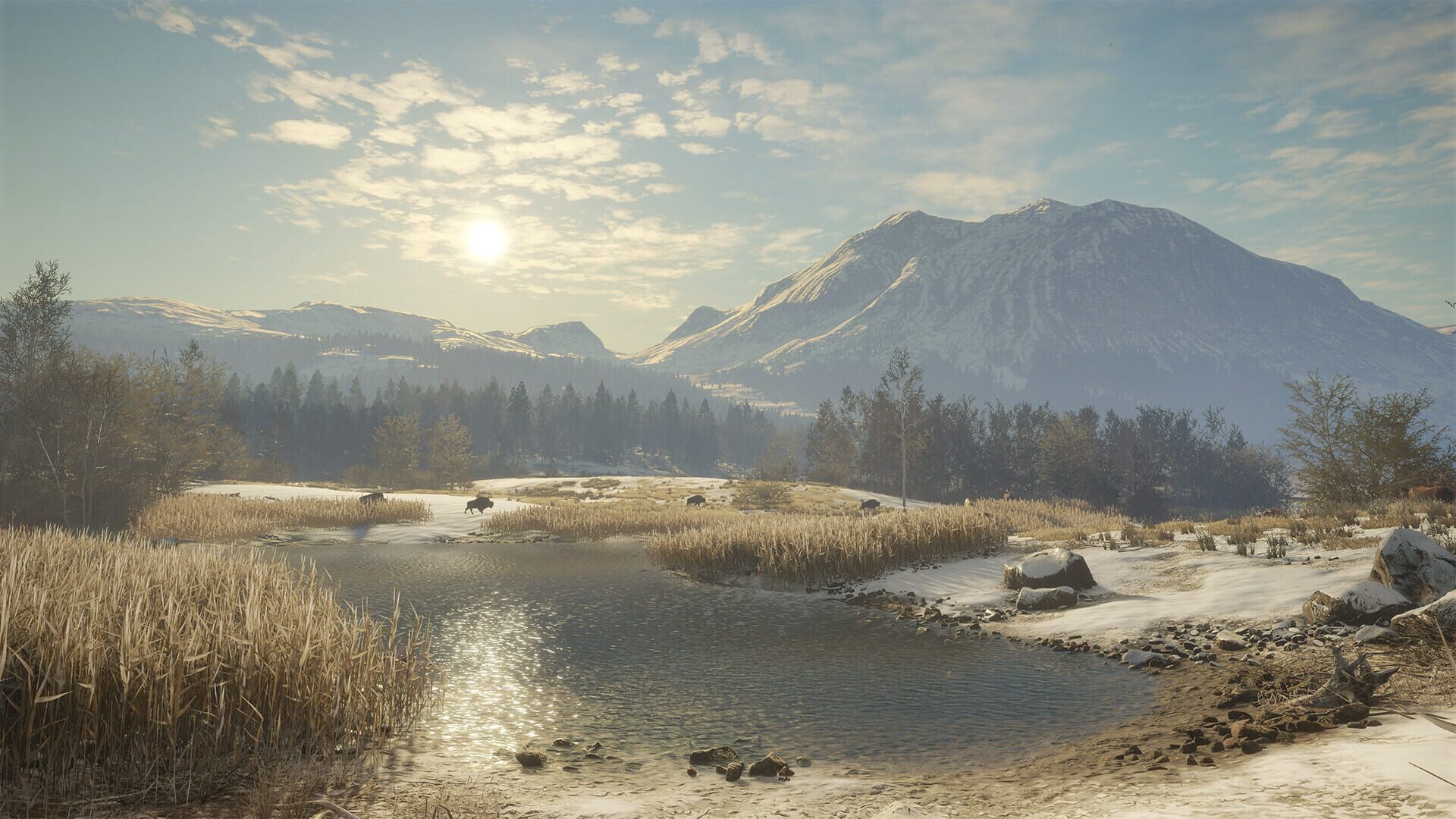 TheHunter: Call of the Wild - Alberta Hunting Preserve screenshot 7