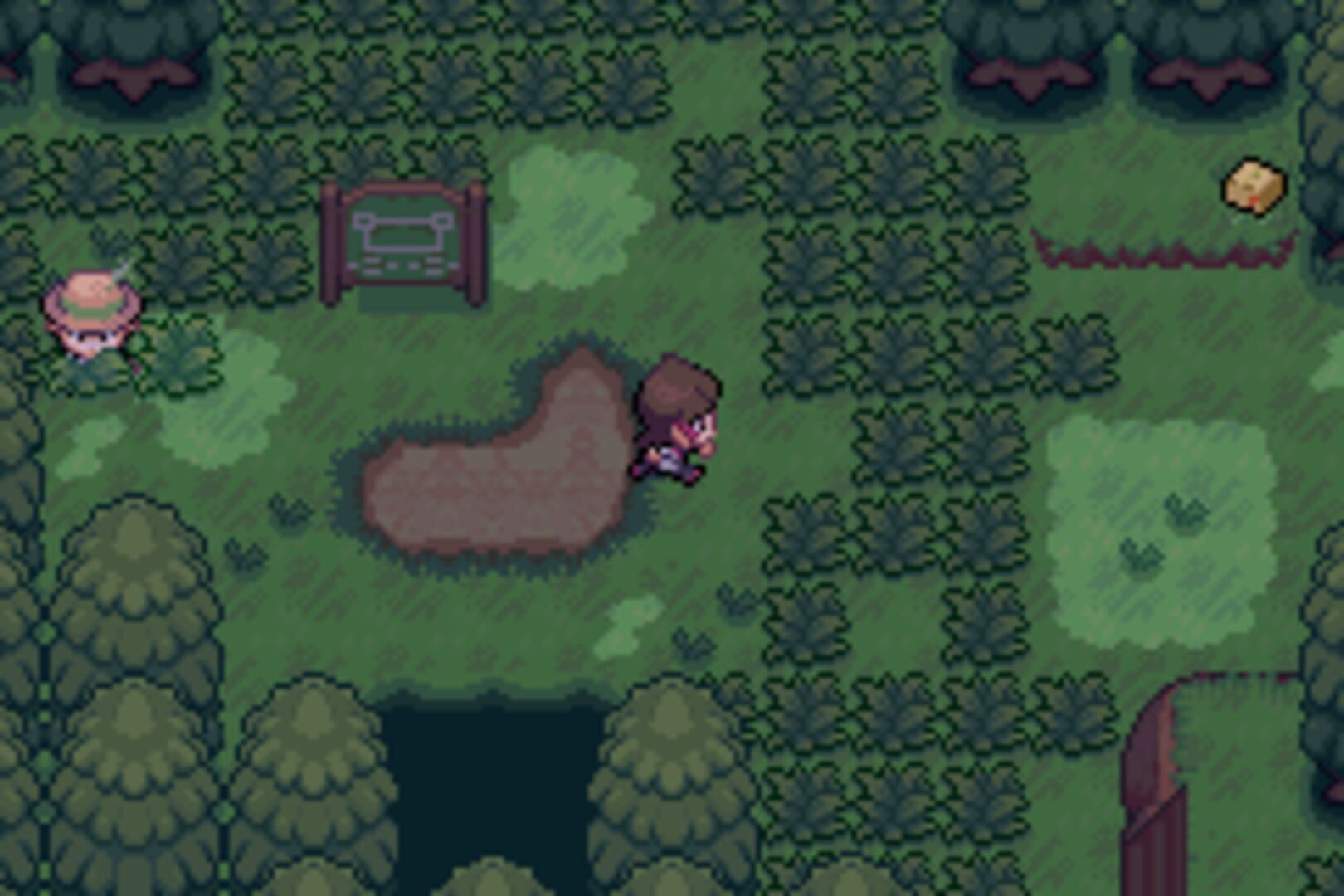 Pokémon Sors 2 screenshot 4