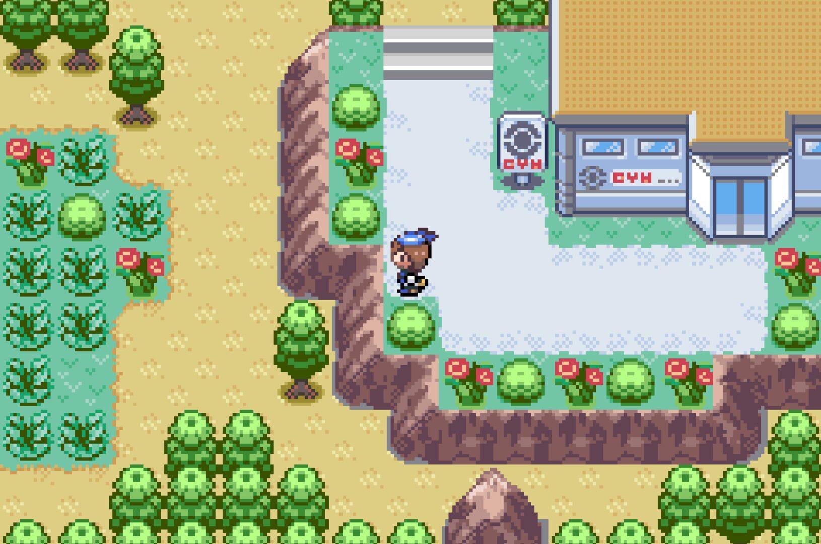 Pokémon Royal Sapphire screenshot 5