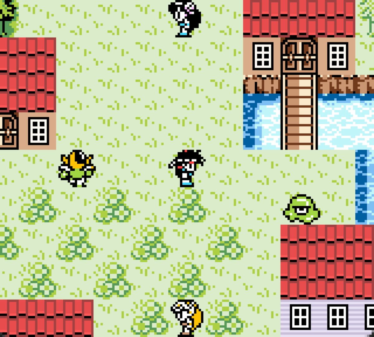 Final Fantasy Legend II DX screenshot 2