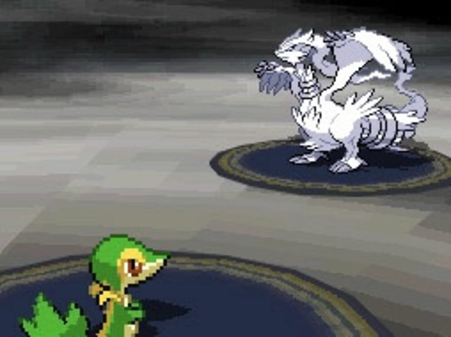 Pokémon Black Version screenshot 10