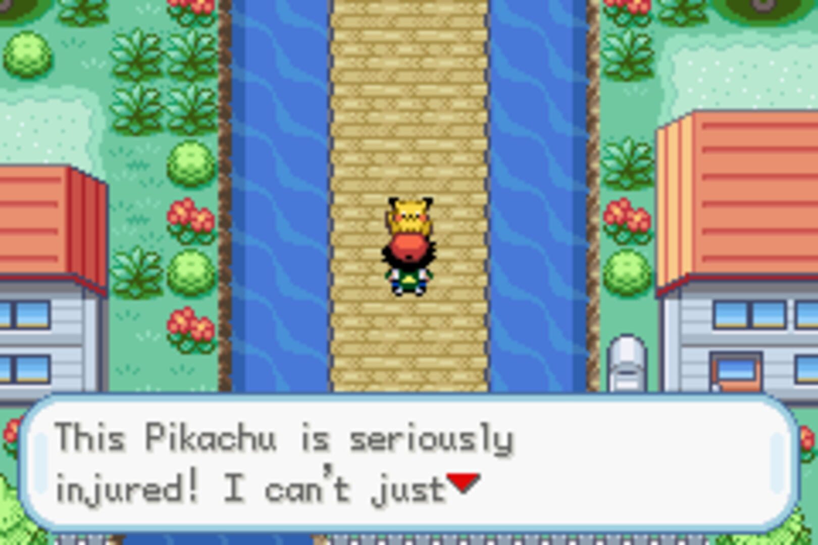 Pokémon: Advanced Adventure screenshot 1