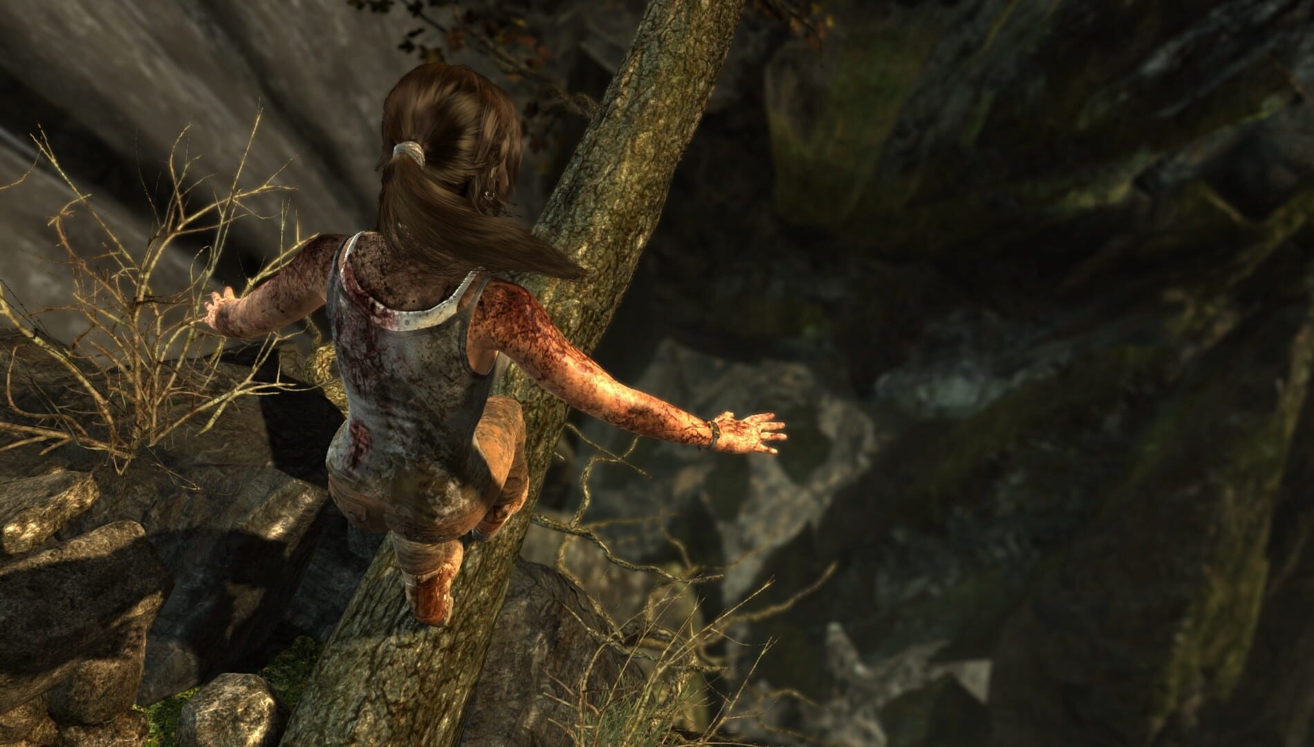 Tomb Raider: Definitive Edition screenshot 3