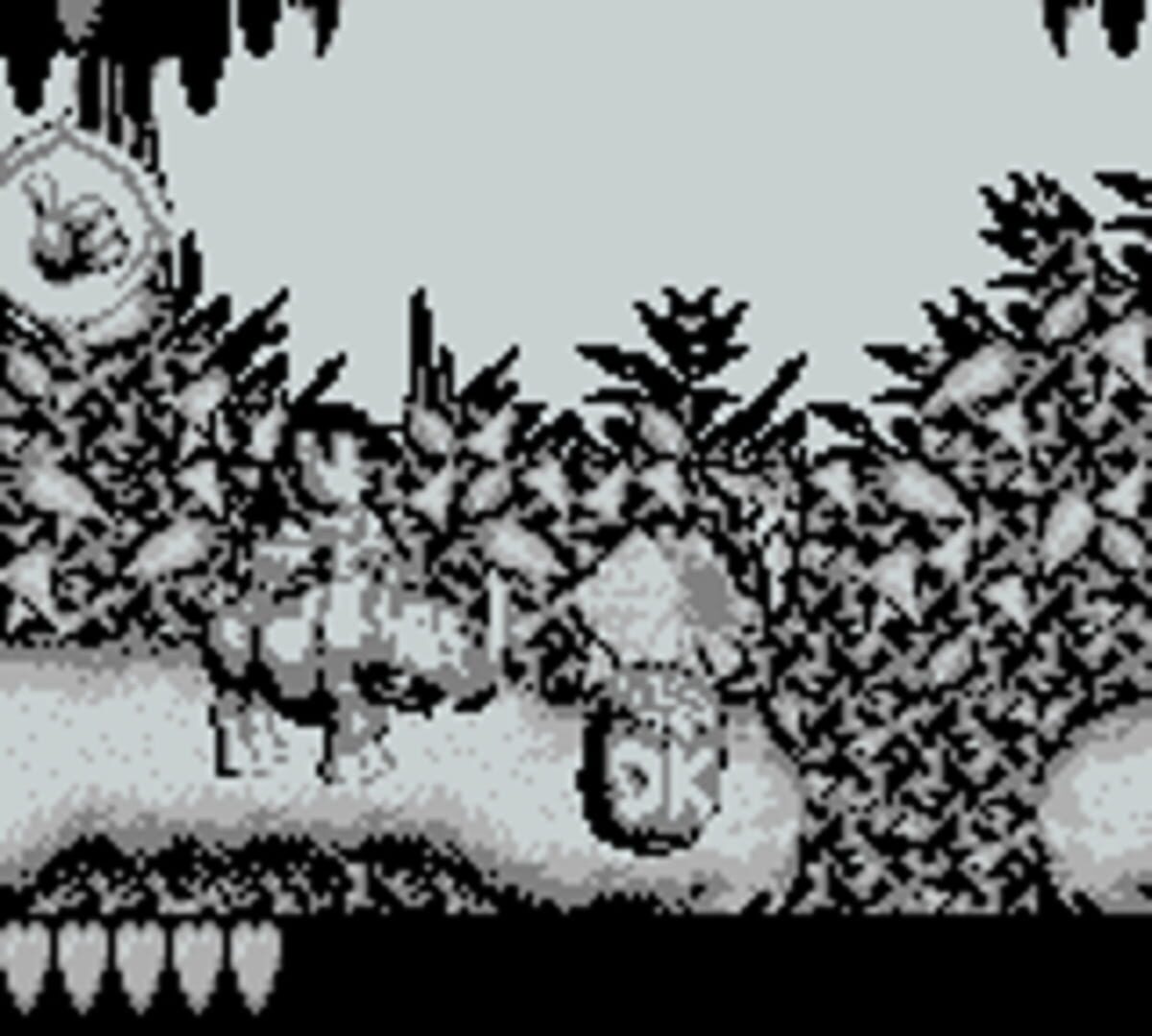 Donkey Kong Land screenshot 9
