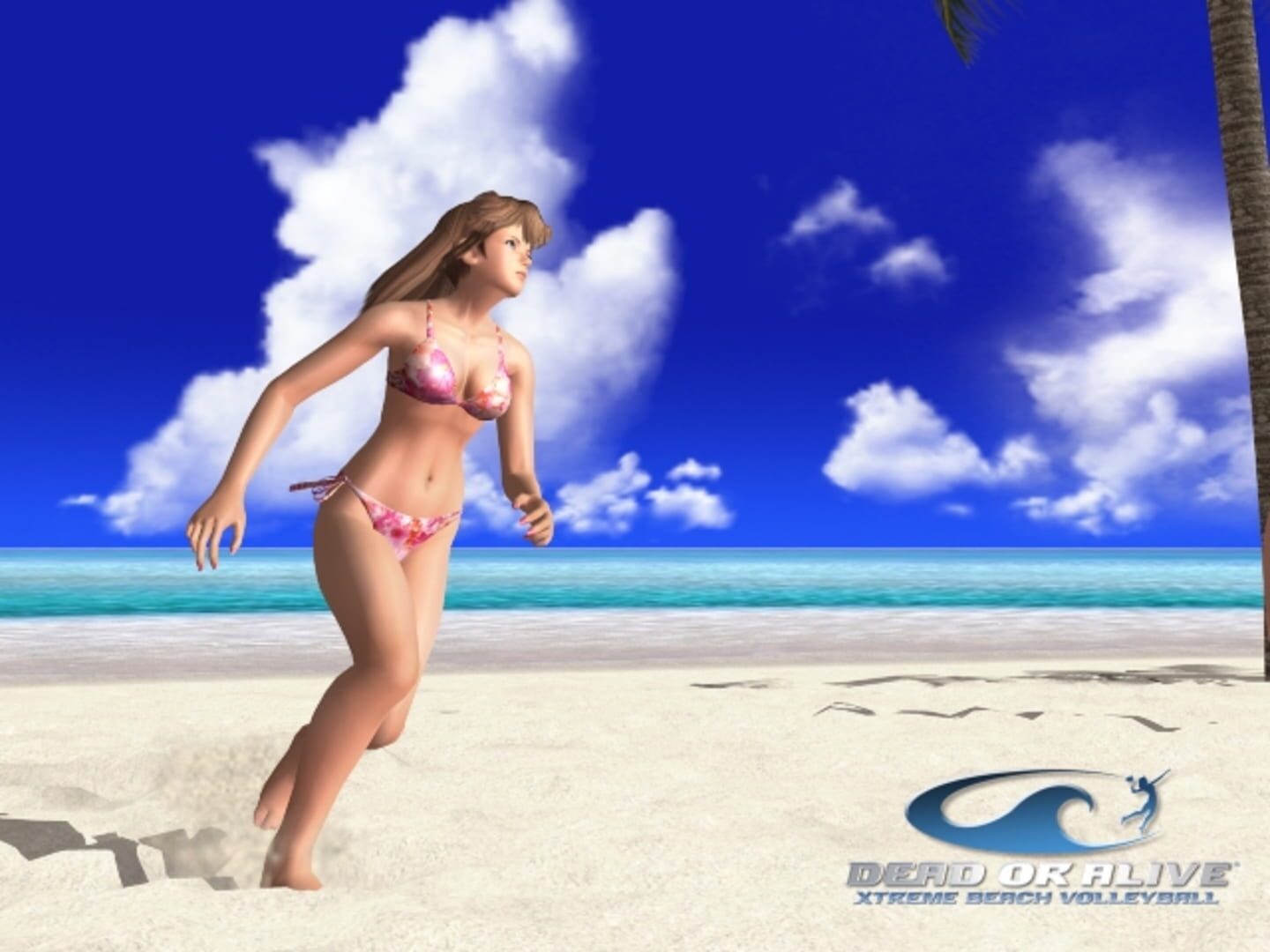 Dead or Alive Xtreme Beach Volleyball screenshot 2