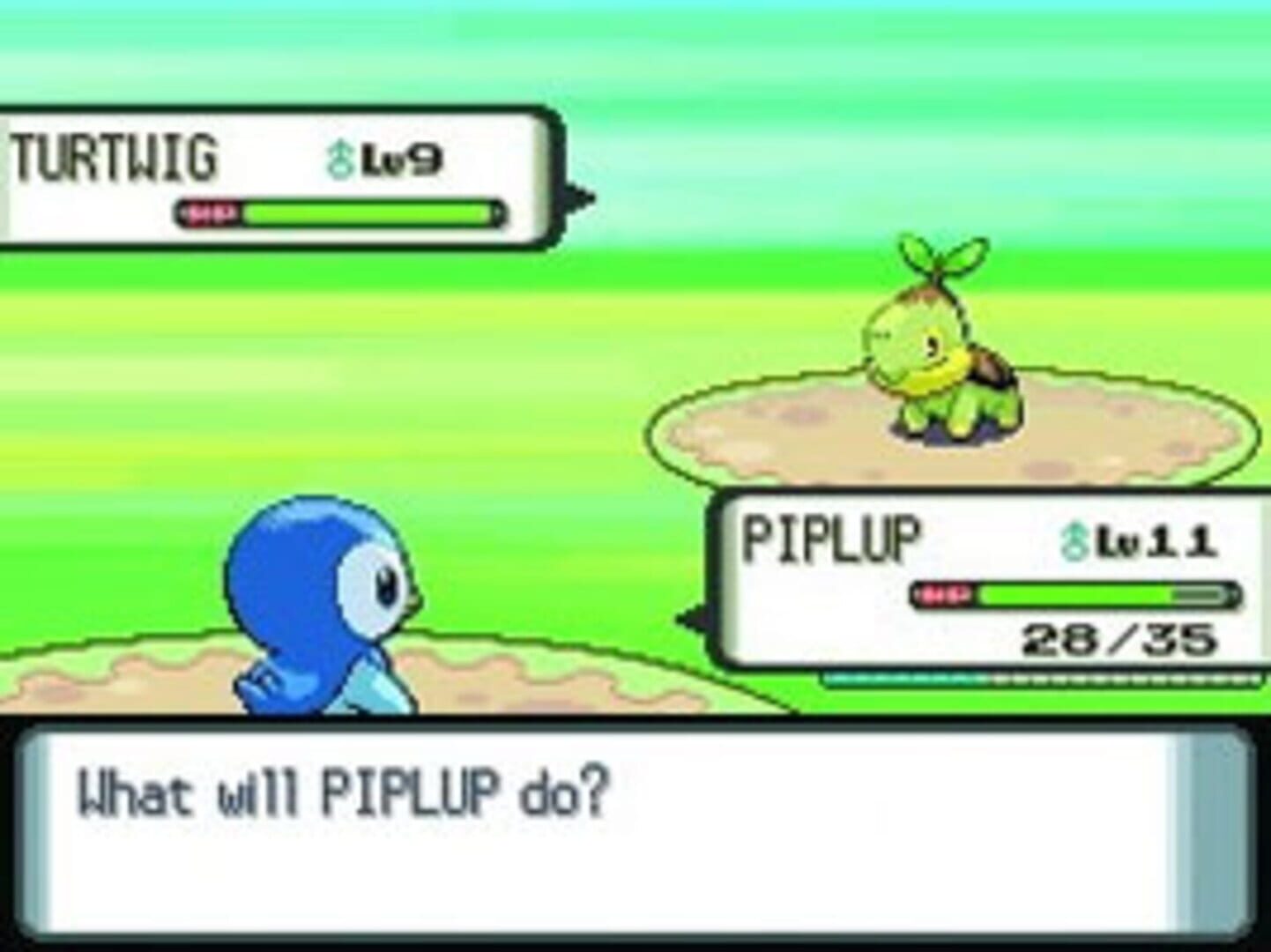 Pokémon Diamond Version screenshot 5