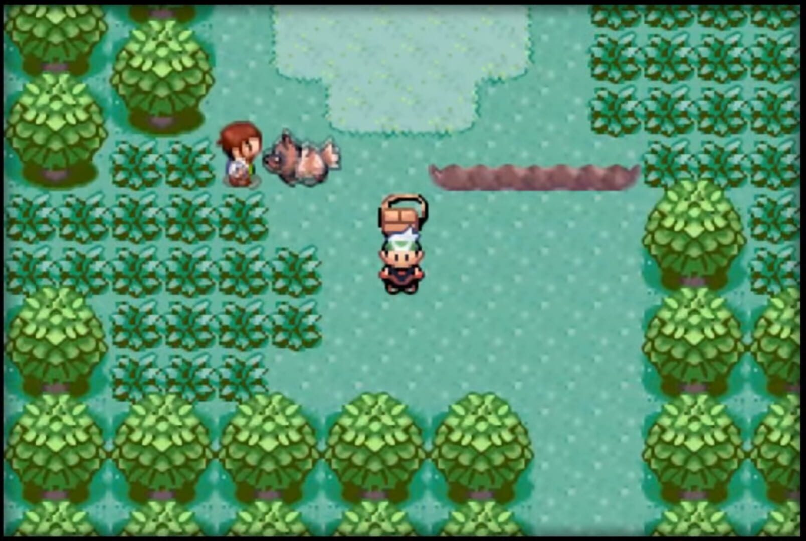 Pokémon Emerald Version screenshot 3