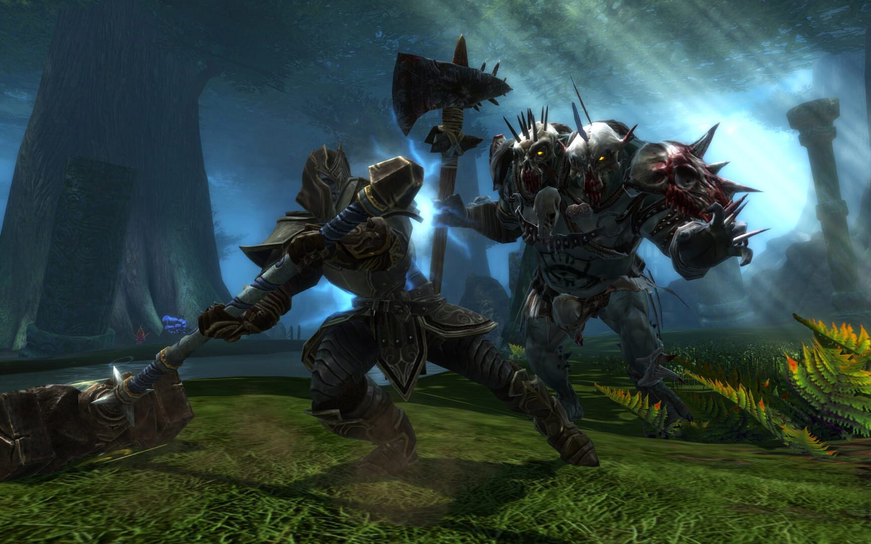 Kingdoms of Amalur: Reckoning screenshot 5