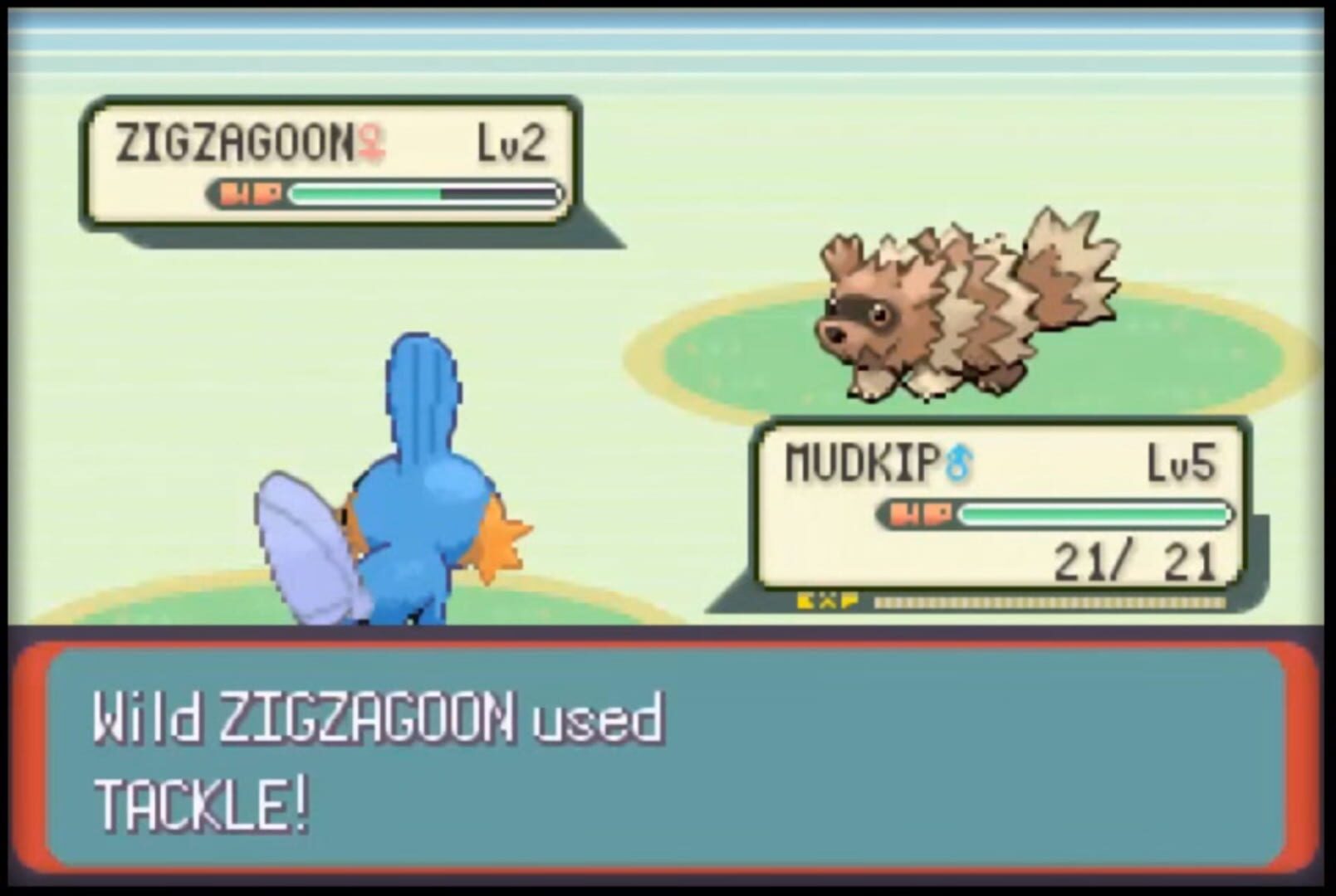 Pokémon Emerald Version screenshot 4