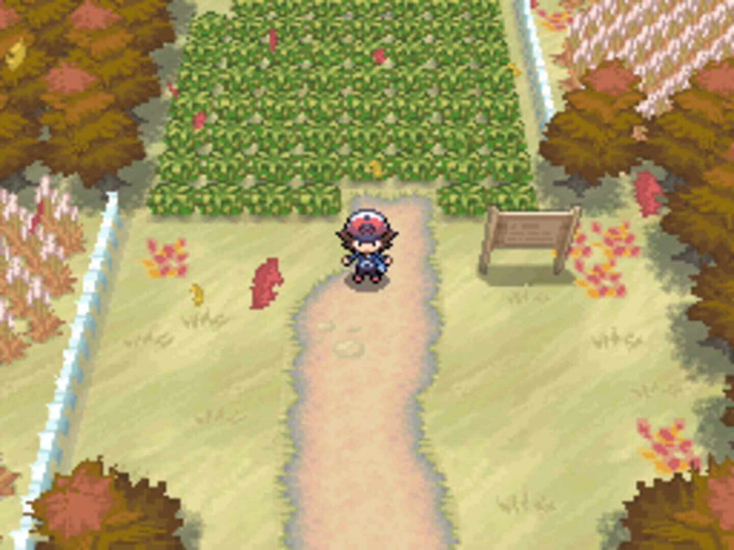Pokémon Black Version screenshot 6