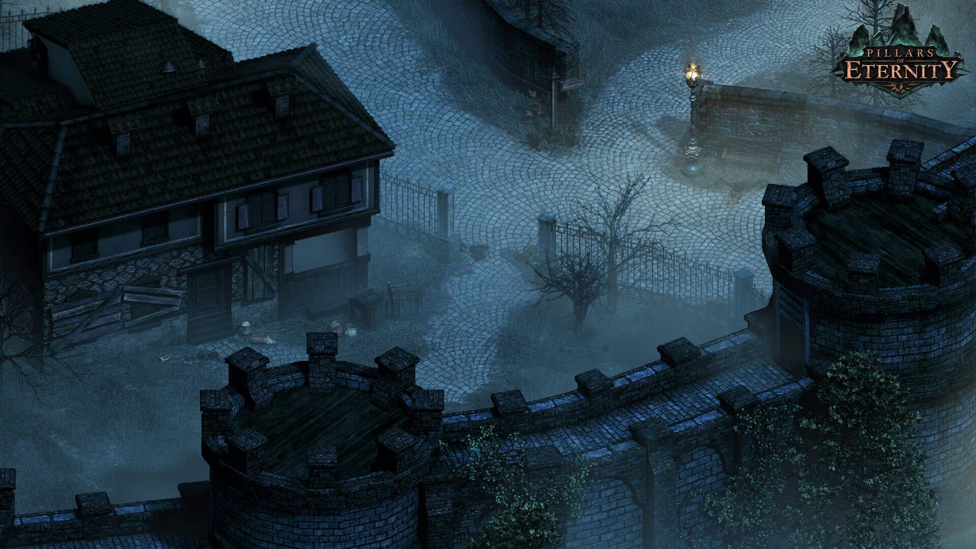 Pillars of Eternity screenshot 2