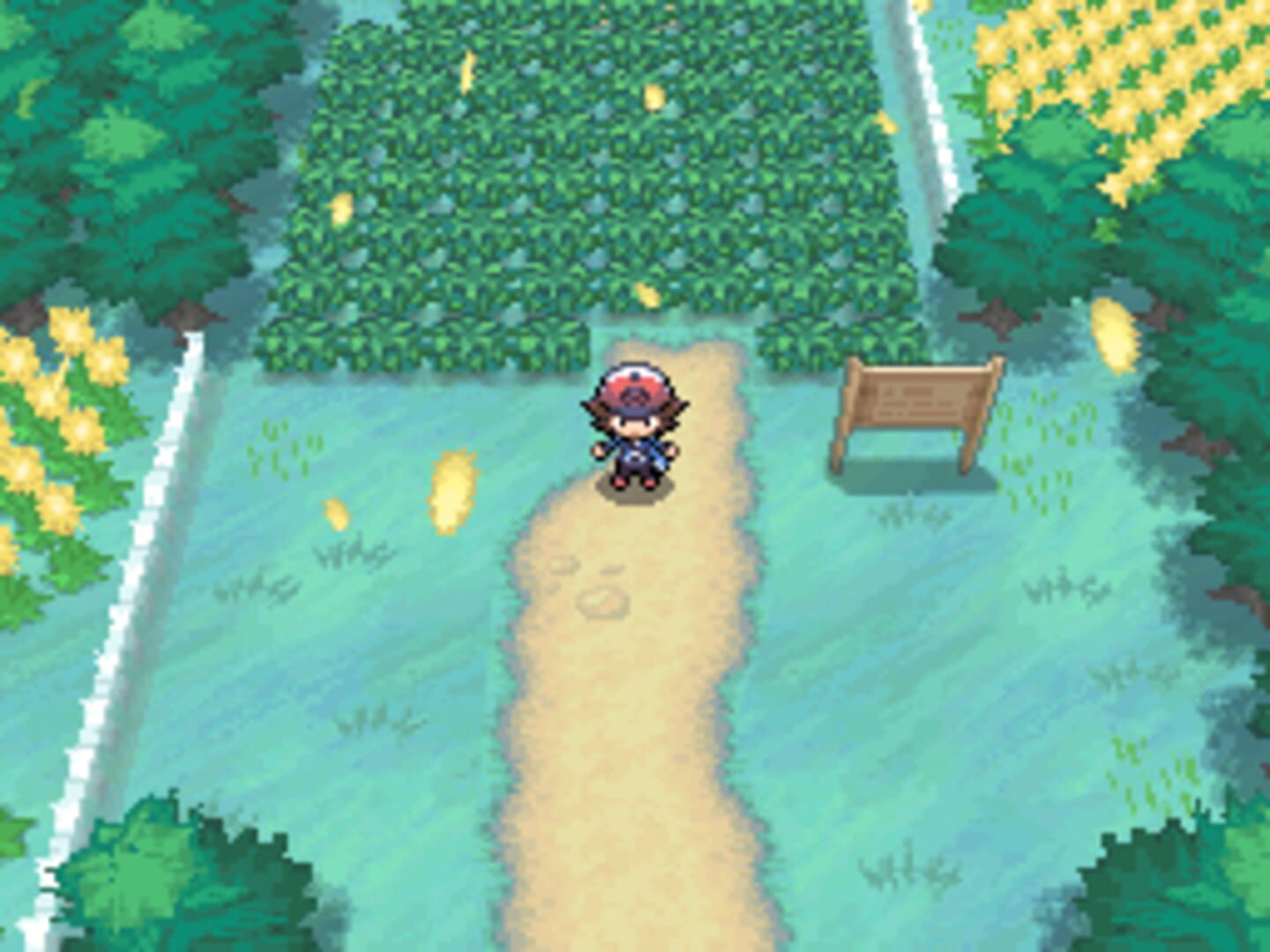Pokémon Black Version screenshot 5