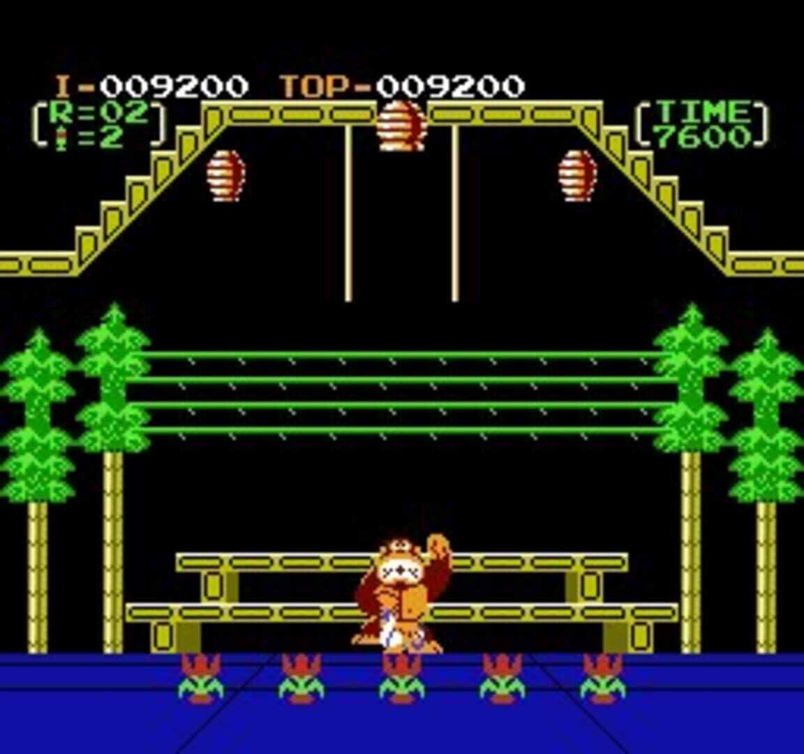 Donkey Kong 3 screenshot 5