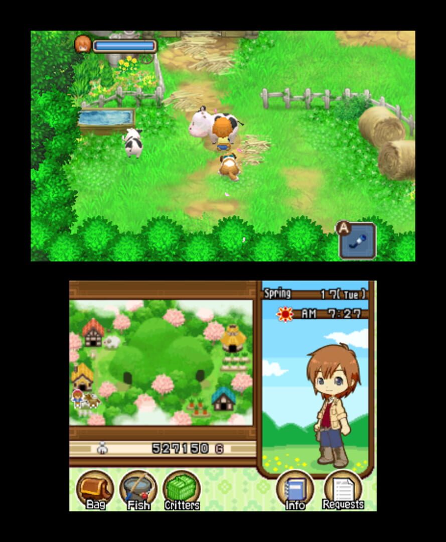 Harvest Moon: The Tale of Two Towns screenshot 2