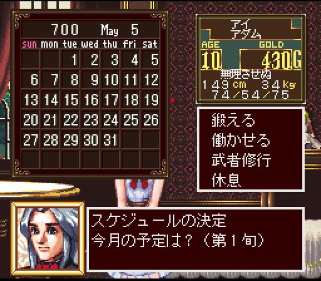 Princess Maker: Legend of Another World screenshot 9