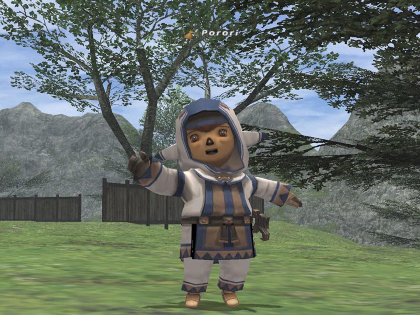 Final Fantasy XI Online screenshot 3