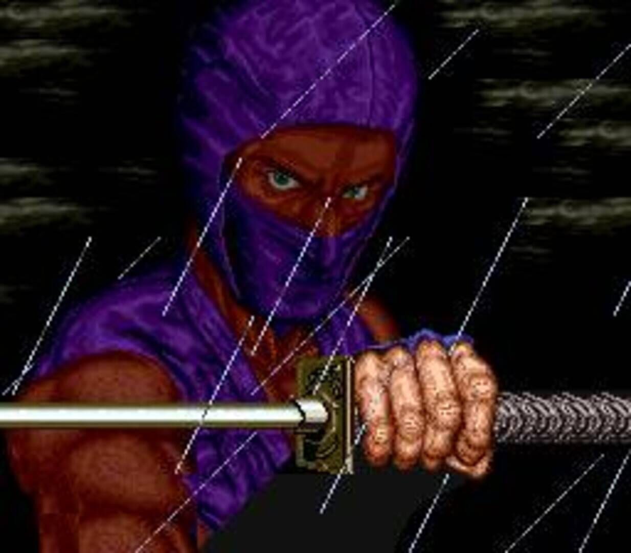 Ninja Gaiden screenshot 7