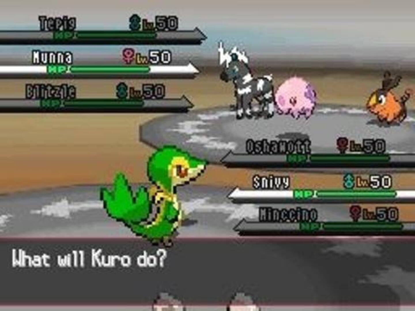 Pokémon White Version screenshot 2