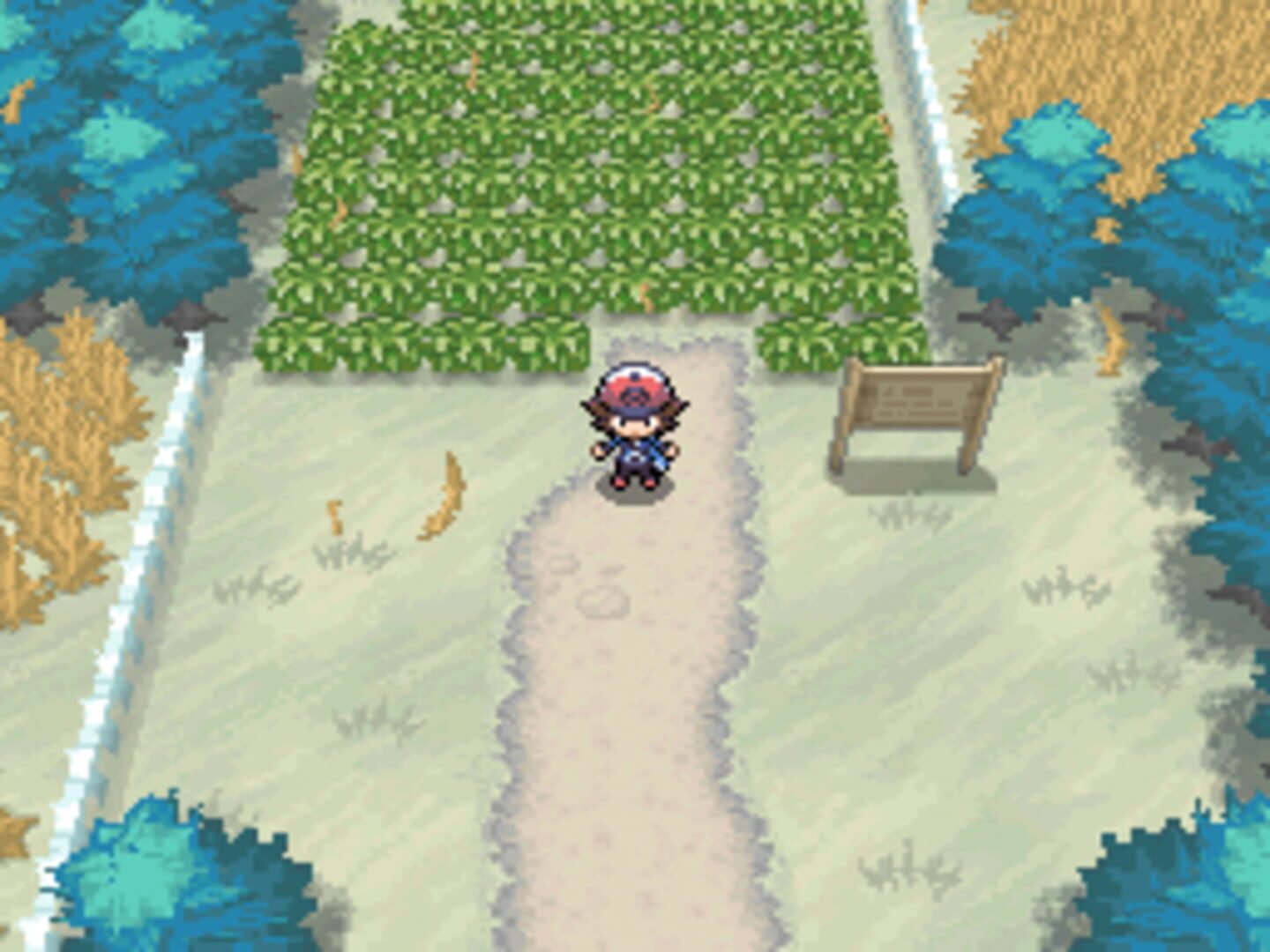 Pokémon Black Version screenshot 4