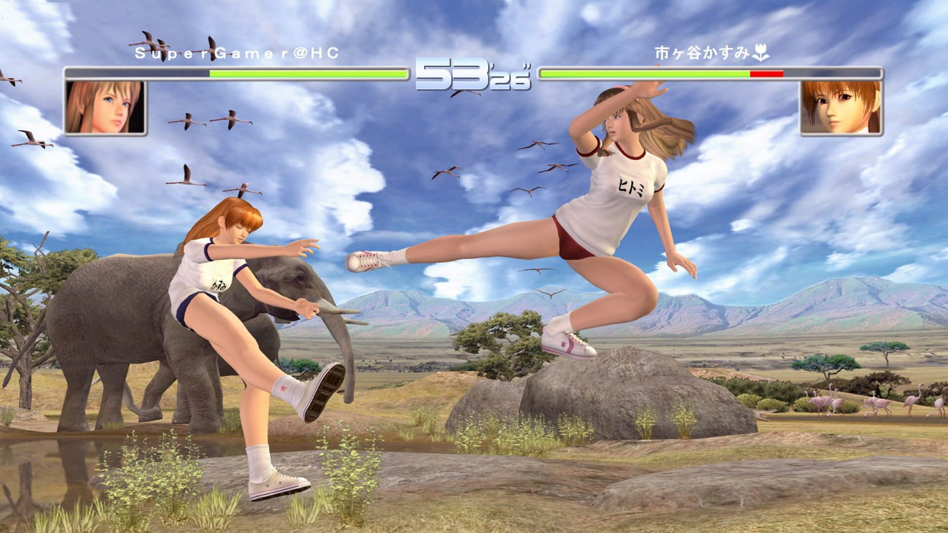 Dead or Alive 2 Ultimate screenshot 4