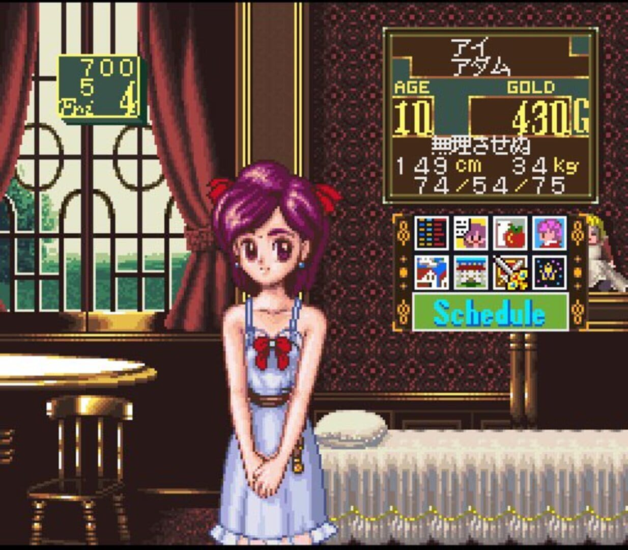Princess Maker: Legend of Another World screenshot 8