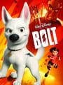 Bolt - Bolt Update