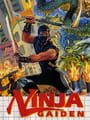 Ninja Gaiden - Ninja Gaiden Update