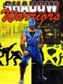 Ninja Gaiden - Ninja Gaiden Update