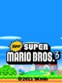 New Super Mario Bros. 3 DS